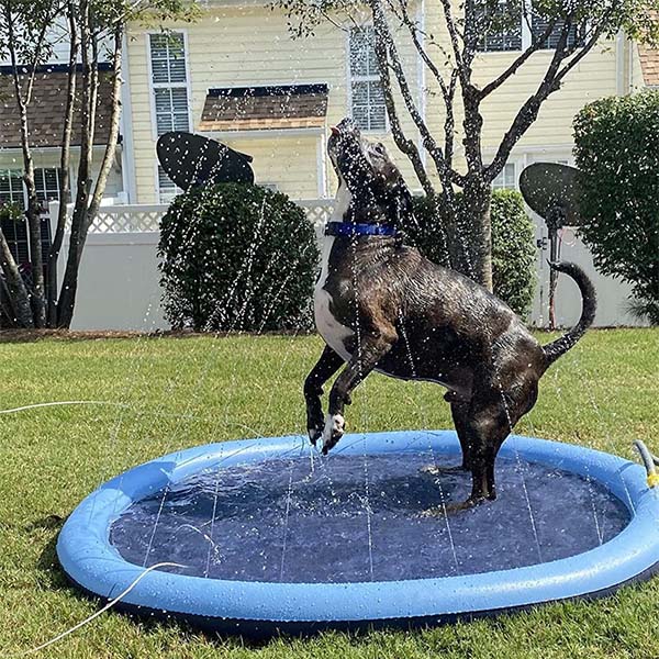 The Splashy Mat, Summer Sprinkle Pad for Pets and Kids