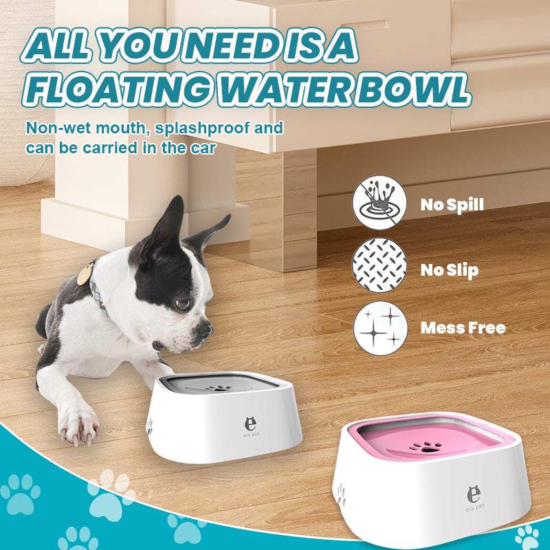 Zero Splash Dog Water Bowl