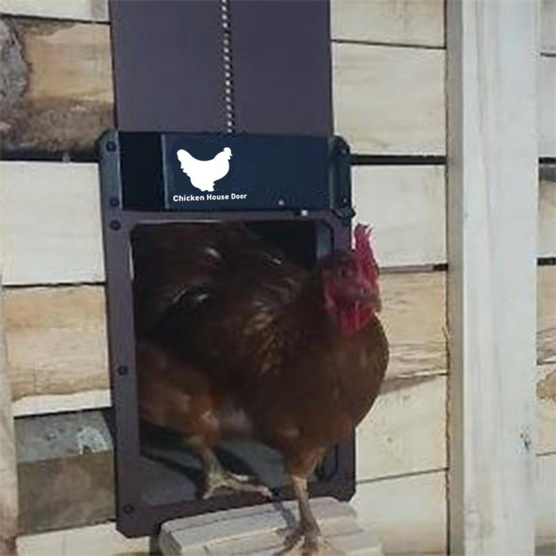 Automatic Chicken Coop Door, Solar Light Sensor Auto Hen Guard Door Opening Timer