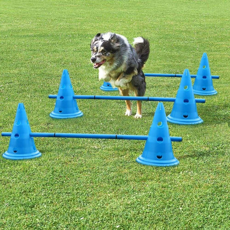 Dog Agility Training Equipment