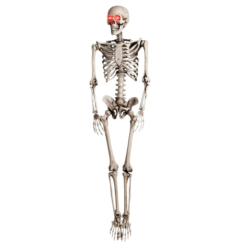 Halloween Prop 5Ft/3Ft Skeleton Full Size Giant Decoration Skeleton Skull Hand Lifelike Fake Human Body Poseable Anatomy Model Party Park