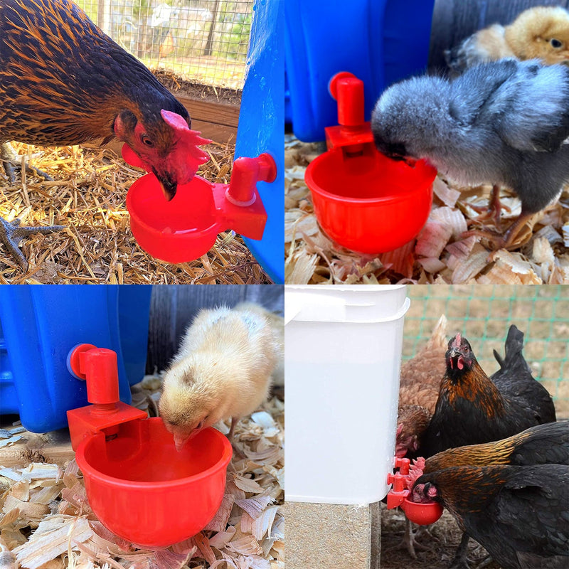 Automatic Chicken Cup Waterer, Auto Poultry Water Bowel Feed for Coop & Flock, Birds, Ducks, Hens Coop Ideas